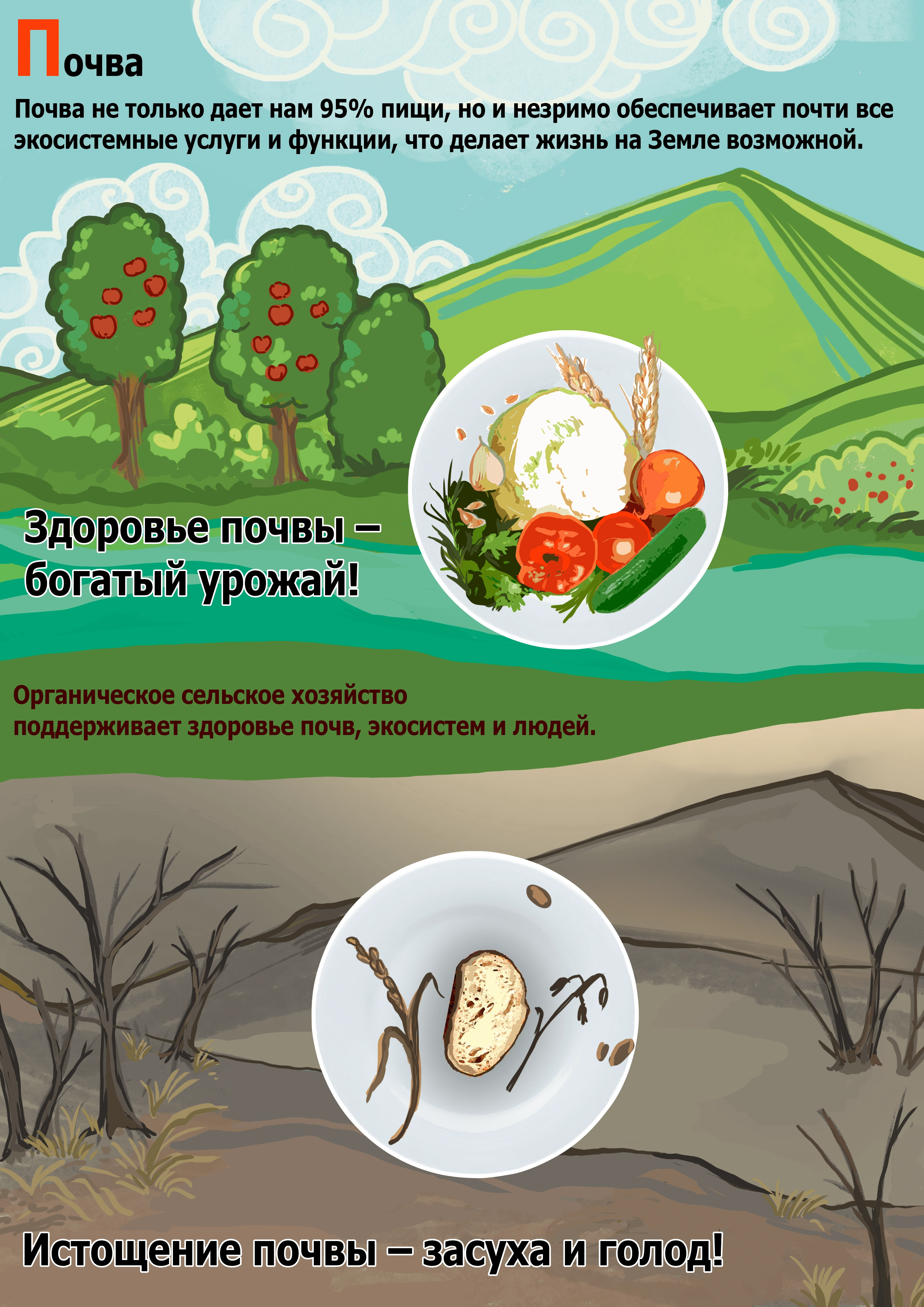 П — Почва