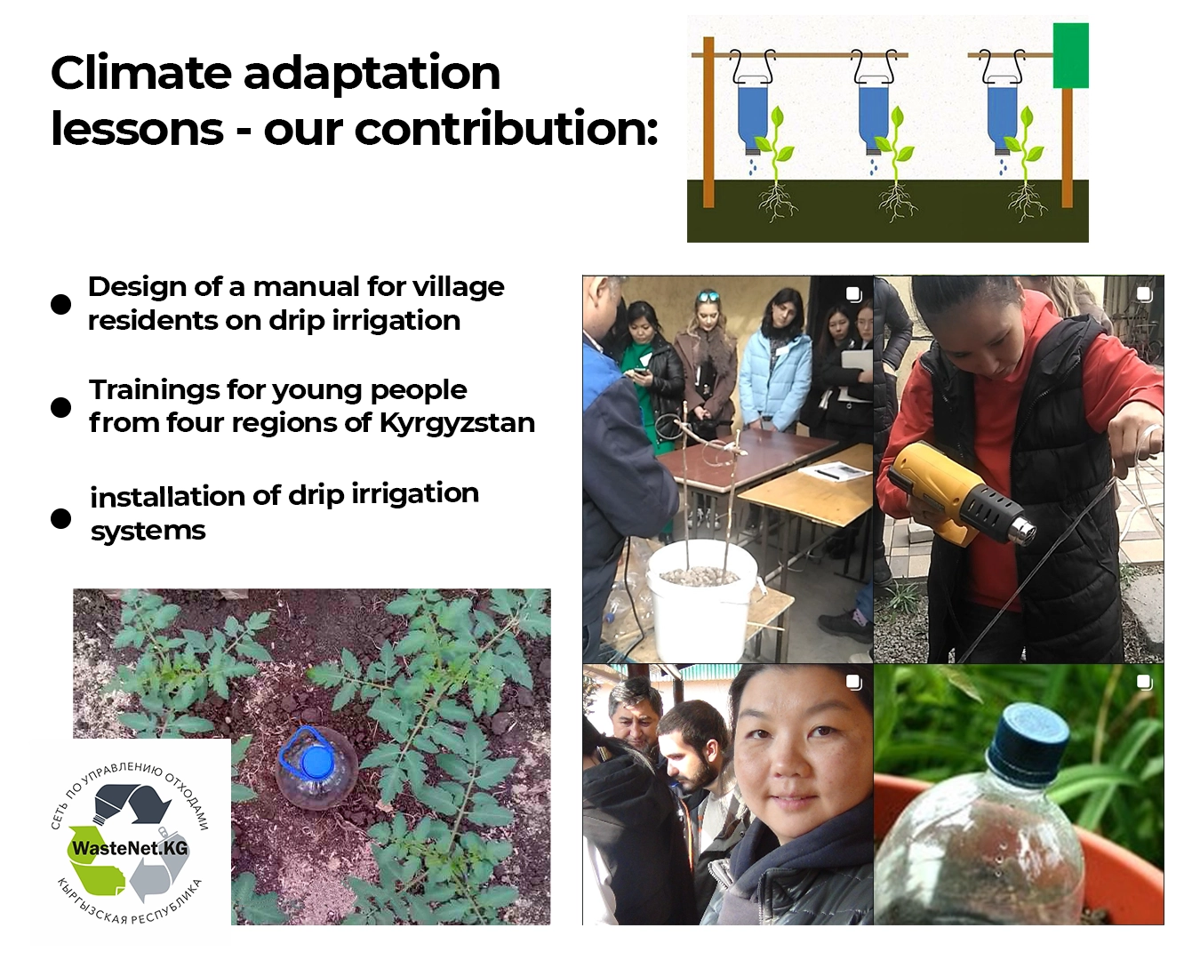 Баклажку - в дело! молодежная иницииатива по использованию пластиковой тары для капельного полива